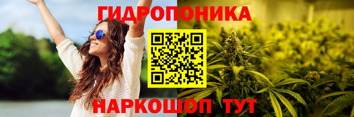 Канабис Amnesia Владимир